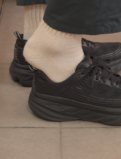 JP25シューホーン